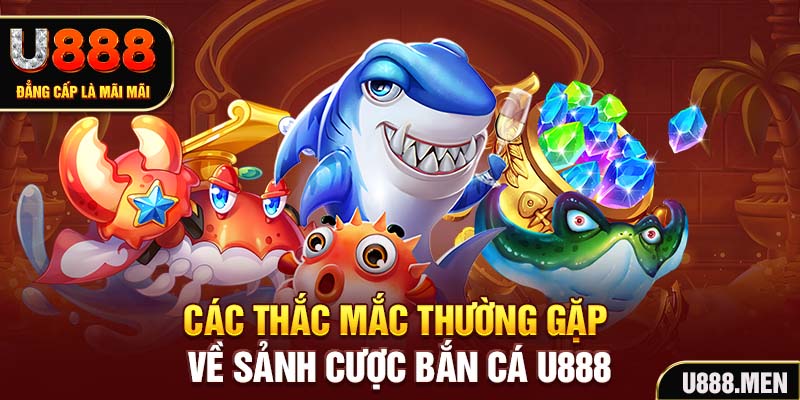 Bắn cá U888 Đổi Thưởng Uy Tín 2025 | Bí Quyết Làm Giàu Các thắc mắc thường gặp về sảnh cược bắn cá U888
